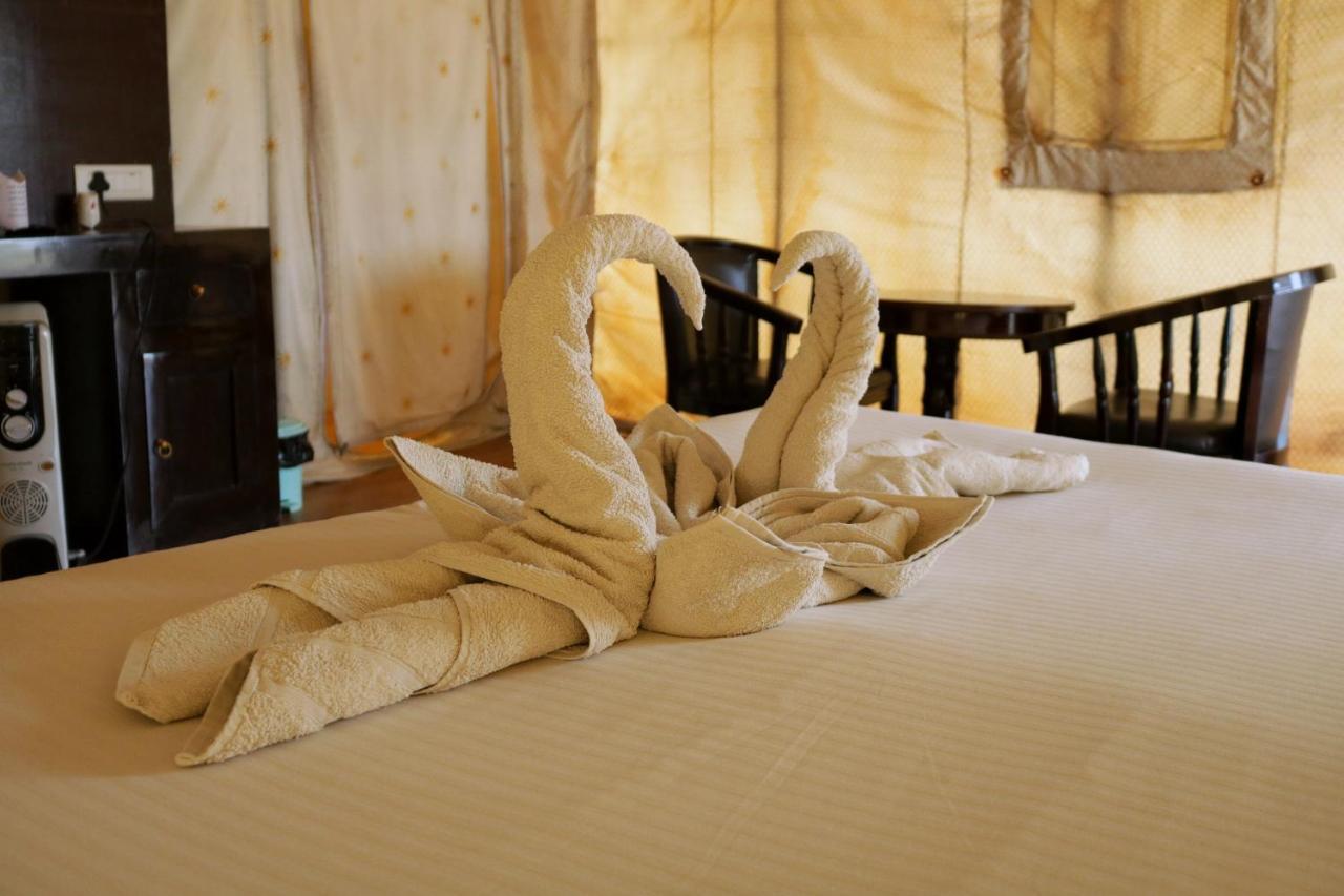 Desert Springs Resort Jaisalmer Zewnętrze zdjęcie